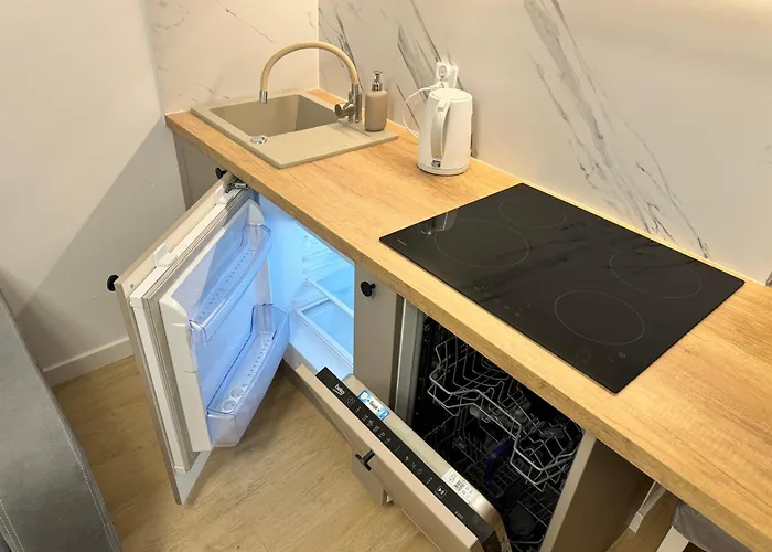 Apartment Queen Jadwiga 16